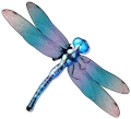 Symbol Dragonfly in Big Bass Splash